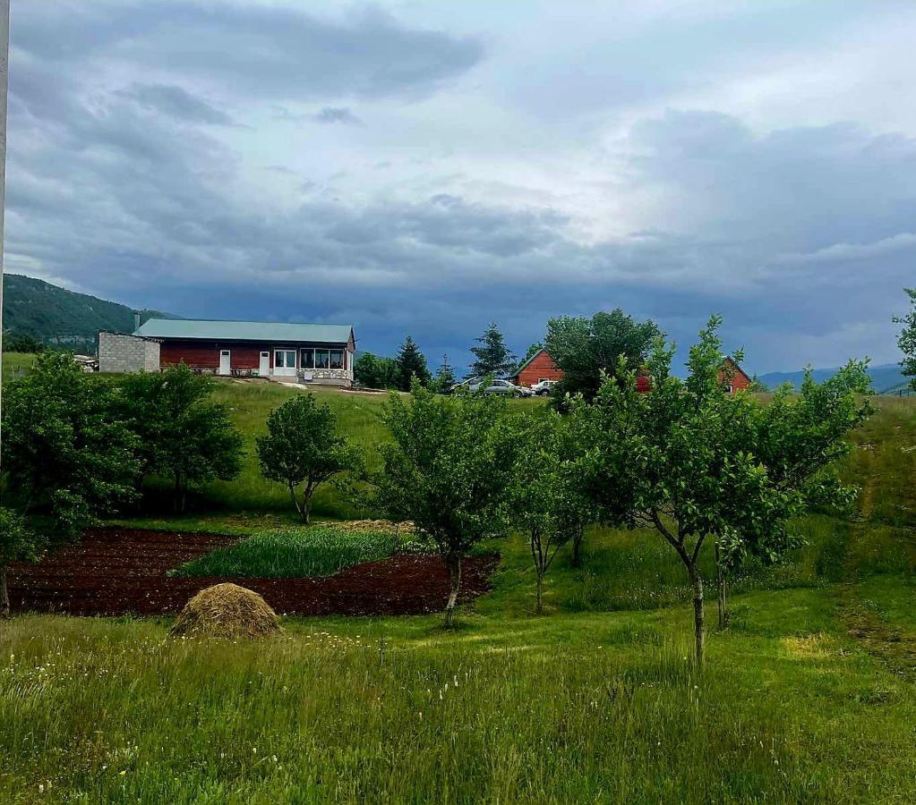 פלוזינה Rural Resort Tron מראה חיצוני תמונה