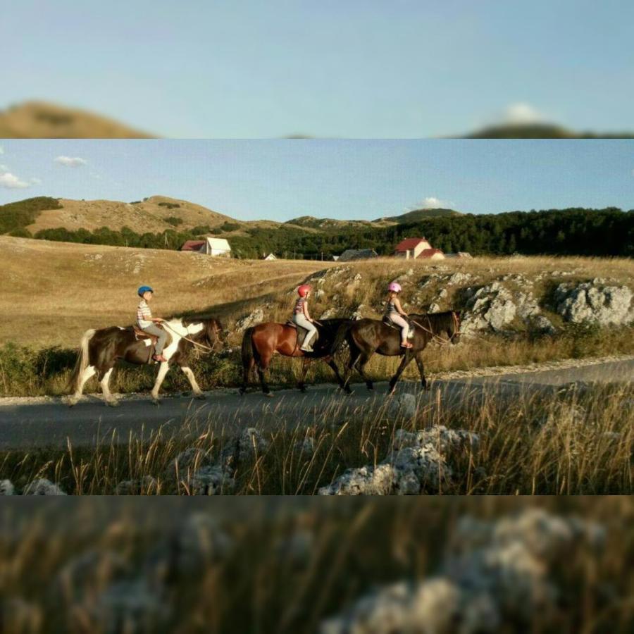 פלוזינה Rural Resort Tron מראה חיצוני תמונה