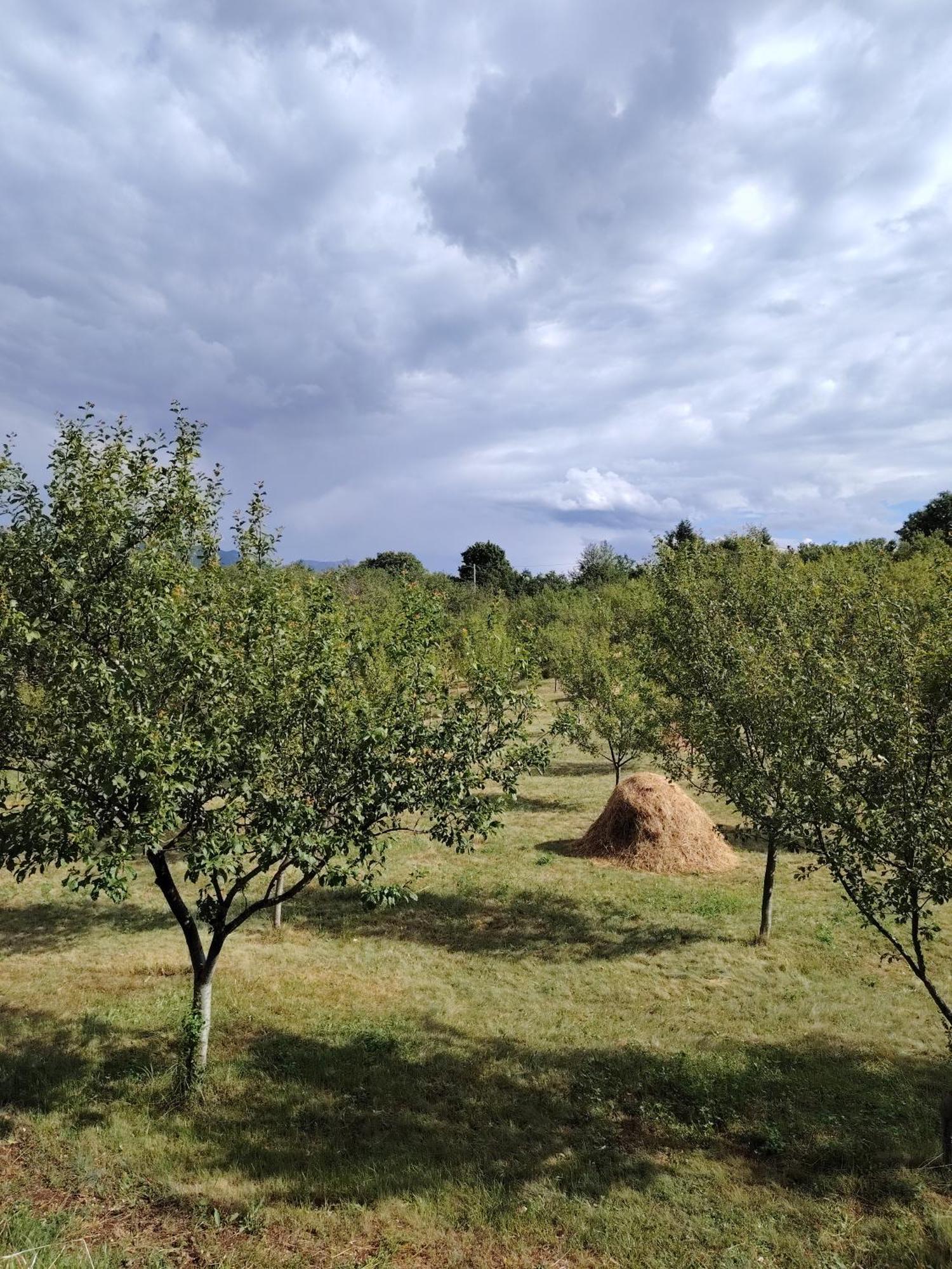 פלוזינה Rural Resort Tron מראה חיצוני תמונה